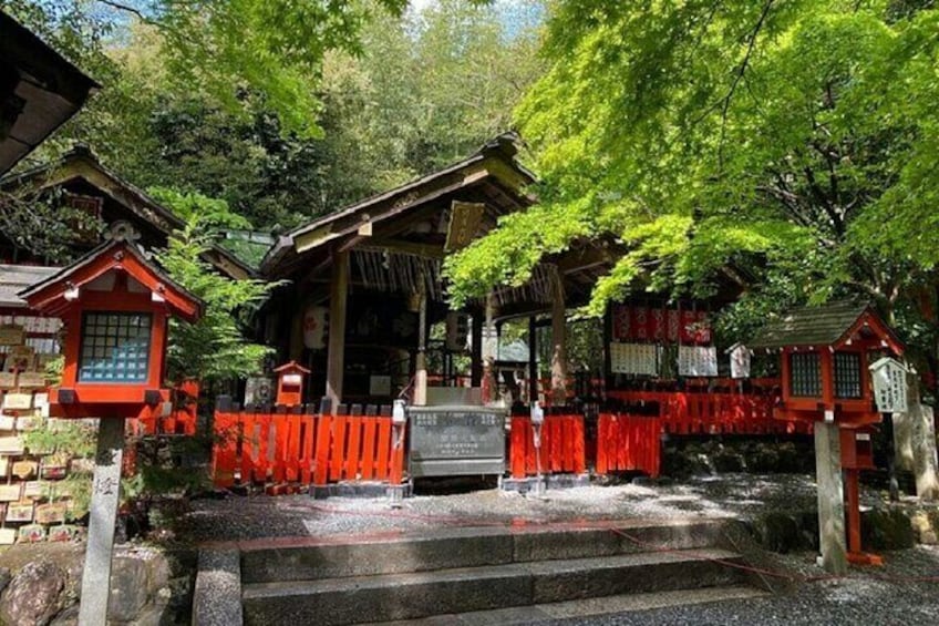 Un sanctuaire japonais traditionnel, avec ses portails torii rouges, ses structures en bois et son chemin pavé de pierres. 5
