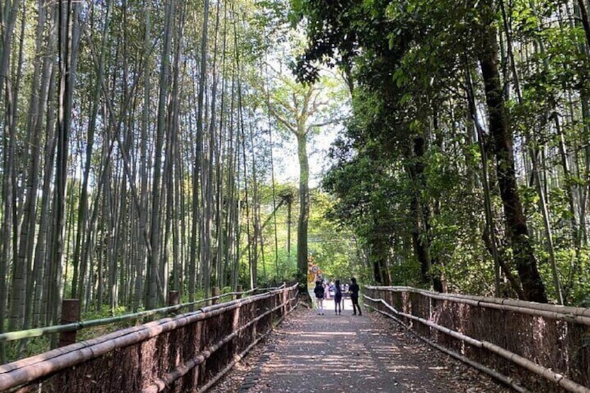 Un pont en bois dans une forêt de bambous. 3