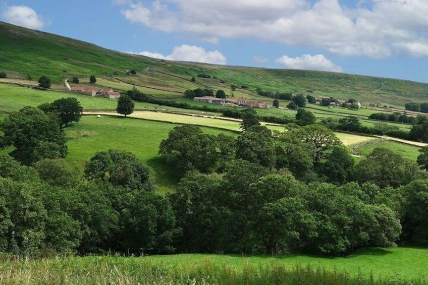 Afternoon Tour North York Moors National Park 5