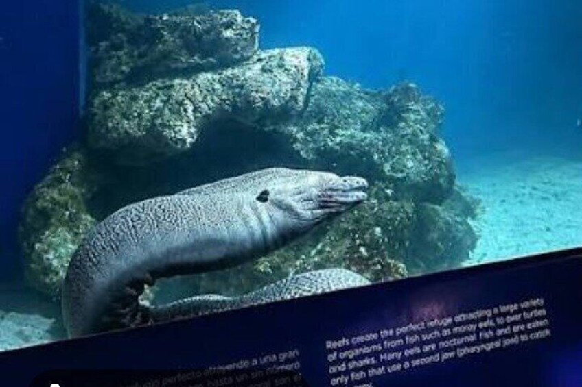 Zoo, Aquarium & Gardens 1