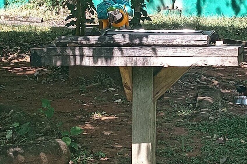 Zoo, Aquarium & Gardens 3