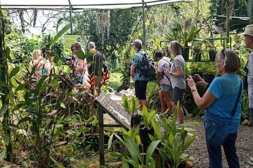 A group of people in a greenhouse-like structure surrounded by various plants and a signboard. 1