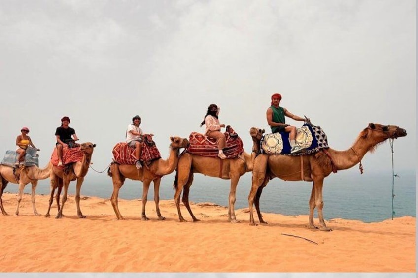 Un groupe de personnes chevauche des chameaux sur une plage de sable, avec l’océan en arrière-plan. 4