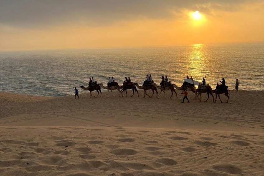 Une caravane de chameaux sur une plage au coucher du soleil. 3