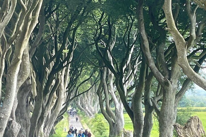 Giants Causeway Coastal Tour 8 passangers 2