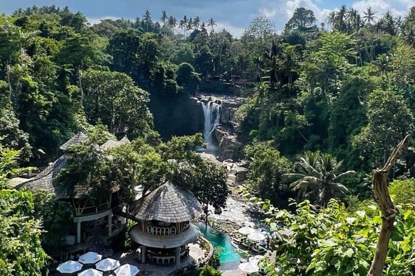 Bali Private Tour: Bali Swing, Rice Terrace, Temple and Waterfall 3