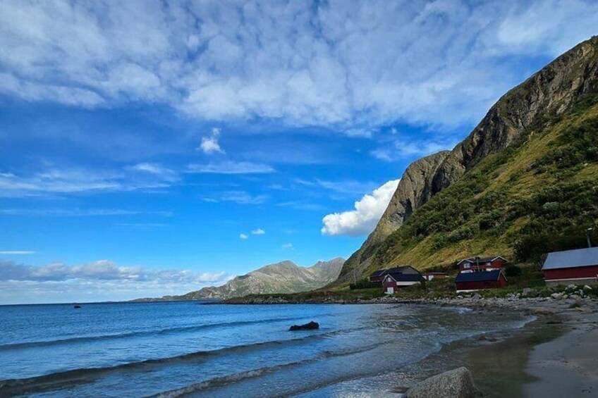 Arctic Fjord Explorer: Mountains, Coast & Hidden Beaches 2