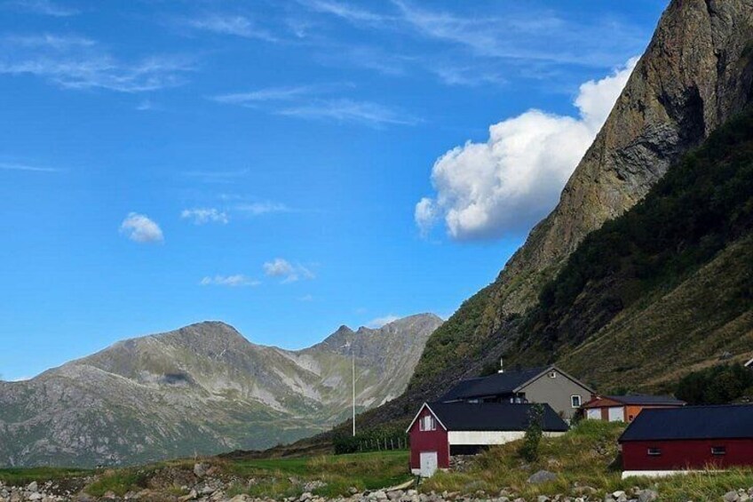 Arctic Fjord Explorer: Mountains, Coast & Hidden Beaches 4