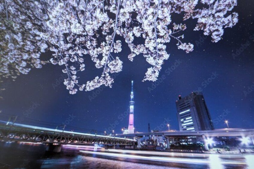 Scena notturna con fiori di ciliegio, una torre e edifici moderni. 3