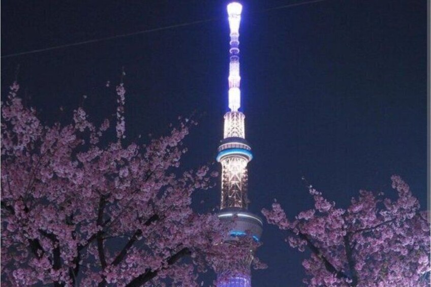 Una torre illuminata da luci notturne, circondata da alberi di ciliegio in fiore. 2