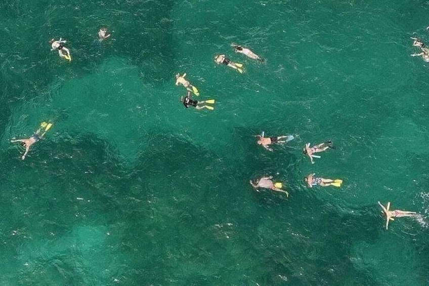 People snorkeling in clear water. 3