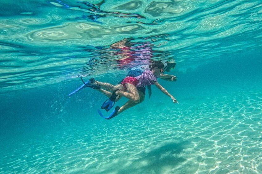 A person underwater with fins, swimming in clear blue water. 4