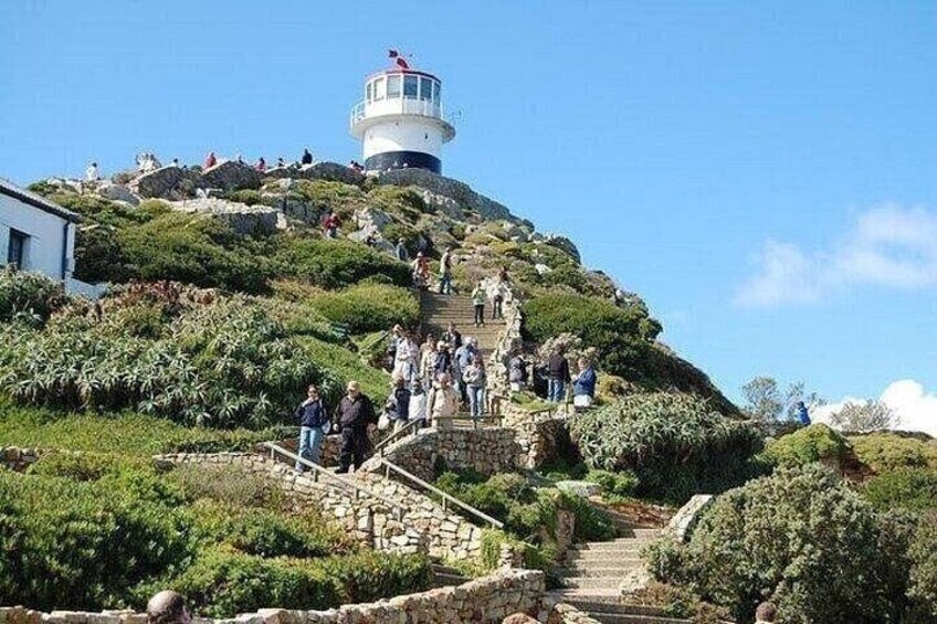 Ein Leuchtturm auf einem Hügel, mit einer Treppe, die zu ihm hinaufführt, umgeben von viel Grün. 2