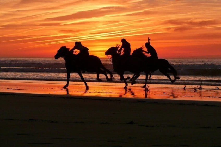 Silhouetten von Reitern auf Pferden am Strand bei Sonnenuntergang. 1