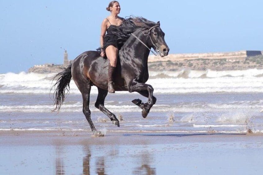 Eine Person reitet auf einem Pferd am Strand, im Hintergrund sind Wellen zu sehen. 2