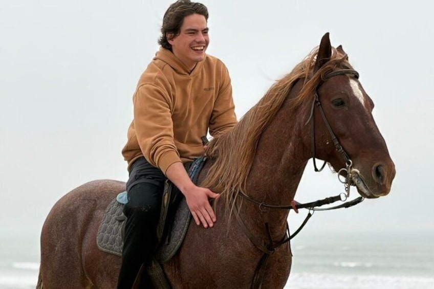 Eine Person reitet auf einem Pferd am Strand, im Hintergrund das Meer. 5