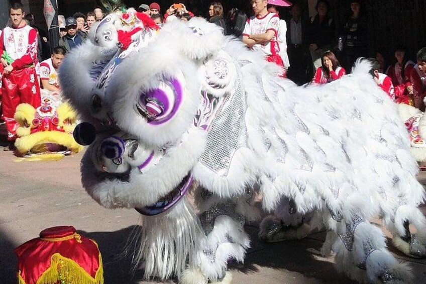 Baby dragon dancers 3