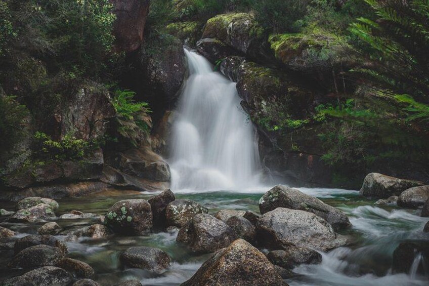 Una cascada rodeada de rocas y follaje. 2