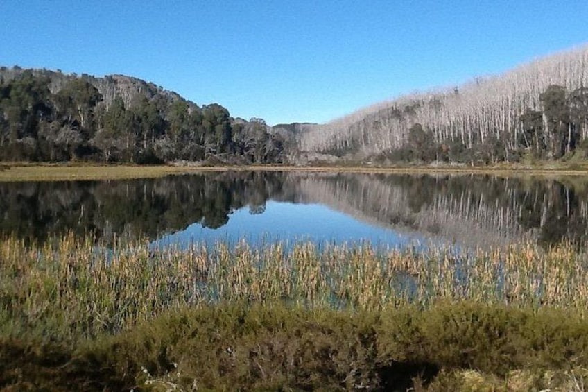 Un lac paisible aux eaux claires et aux reflets parfaits, bordé d’une forêt dense et de rives verdoyantes. 1