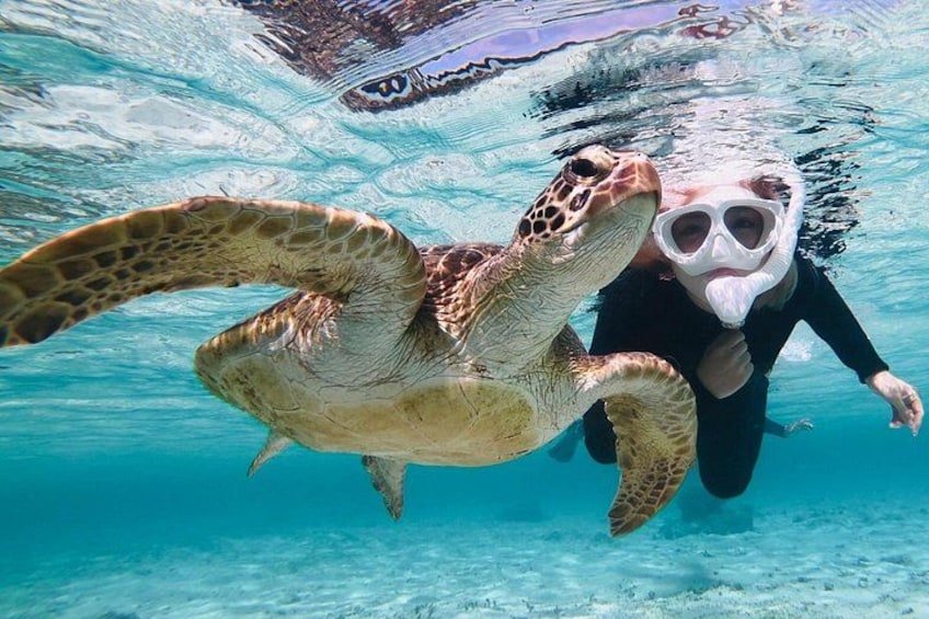 A person snorkeling with a sea turtle in clear blue water. 4