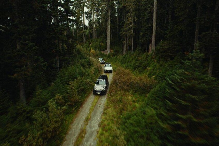 Whistler Morning With The Bears Land Rover Scenic Tour 4