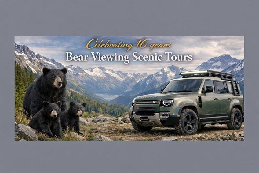 A bear with cubs and a green SUV in a mountainous landscape. 3