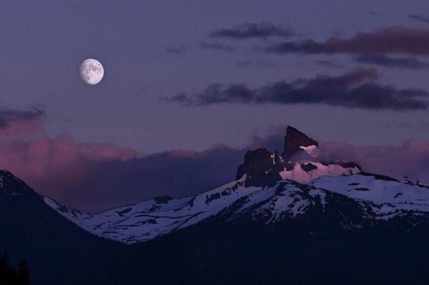 Whistler Morning With The Bears Land Rover Scenic Tour 3