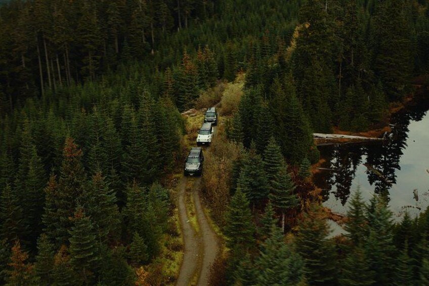 Whistler Morning With The Bears Land Rover Scenic Tour 2