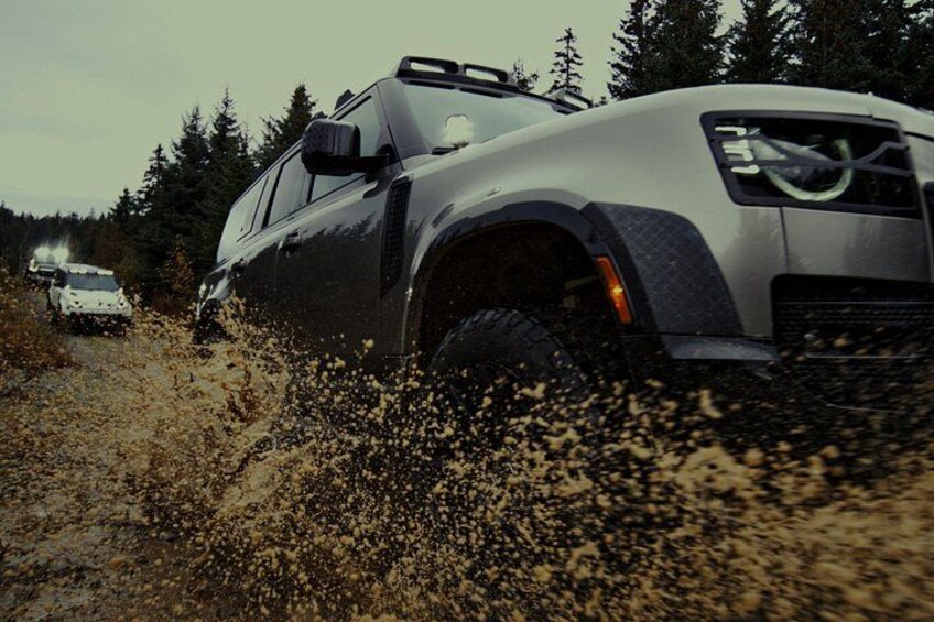 Whistler Morning With The Bears Land Rover Scenic Tour 2