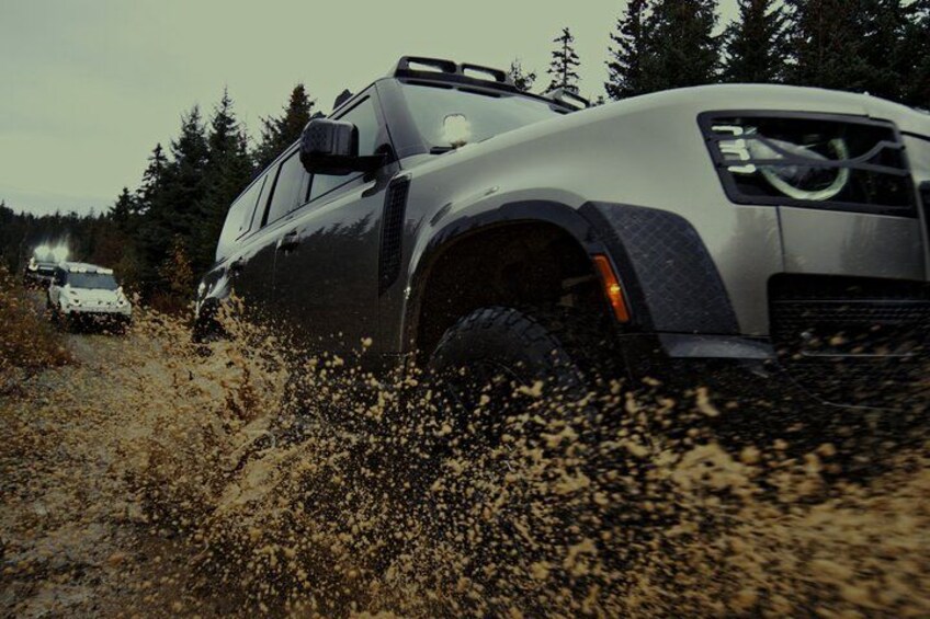 Whistler Morning With The Bears Land Rover Scenic Tour 2