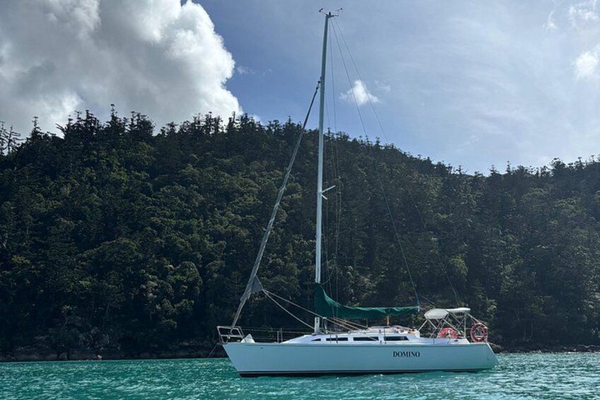 Sunset Sail Cruise Airlie Beach 3
