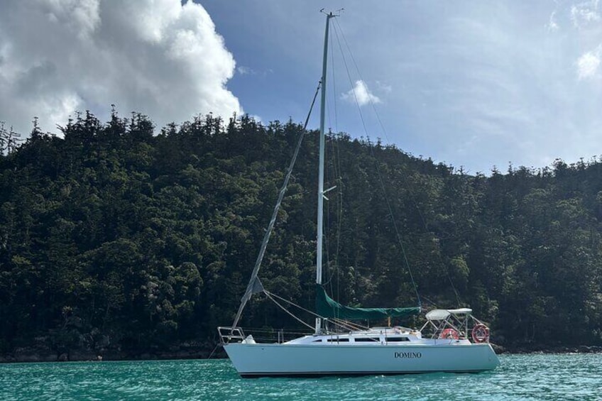 Sunset Sail Cruise Airlie Beach 4