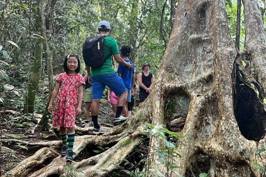 Koh Chang Family and Beginner Jungle Trek with Hotel Pickup 3