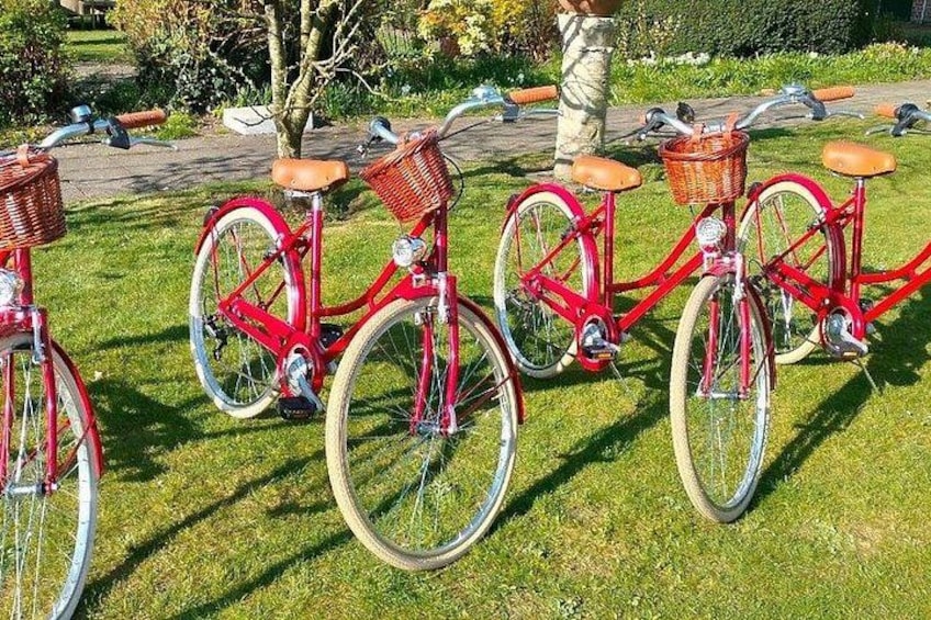 En rad röda cyklar med korgar och pakethållare, parkerade på en gräsyta. 5