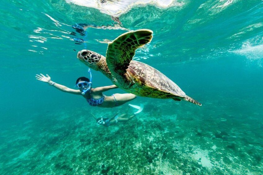 A person snorkeling with a sea turtle in clear turquoise water. 4