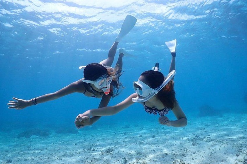 Two people snorkeling underwater. 4