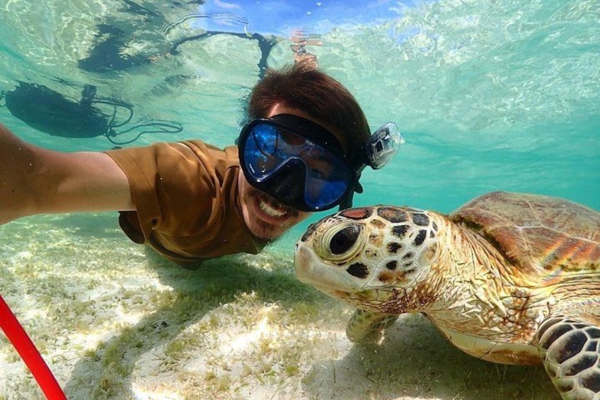 A person snorkeling underwater with a sea turtle. 5