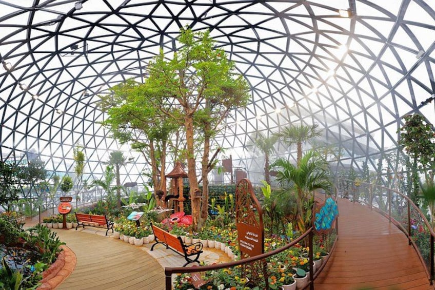 Abu Dhabi Immersive Butterfly Garden 2
