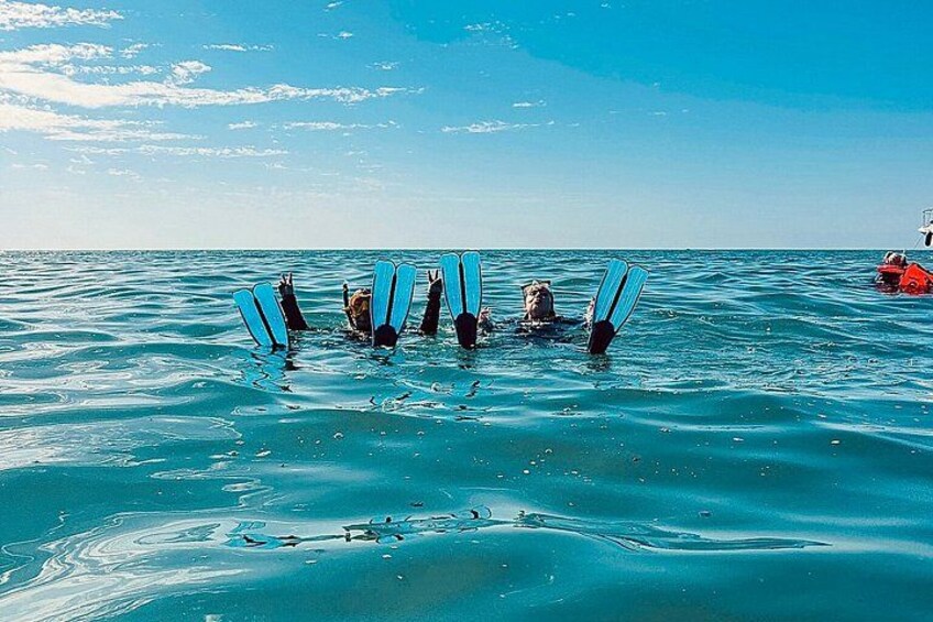 Boat Tour with XXL Slides, Snorkeling, Activities and Lunch 5