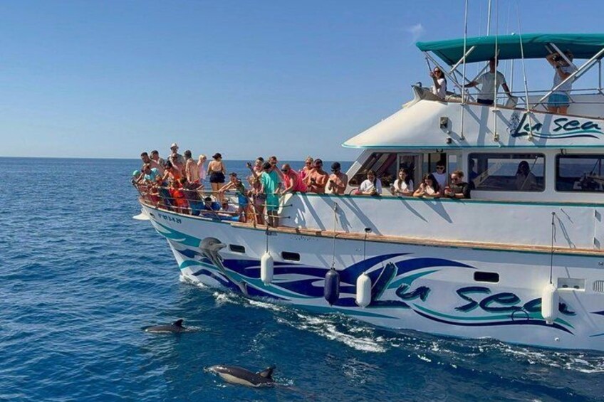 A boat with people on board, dolphins swimming nearby, and a clear blue sky. 5