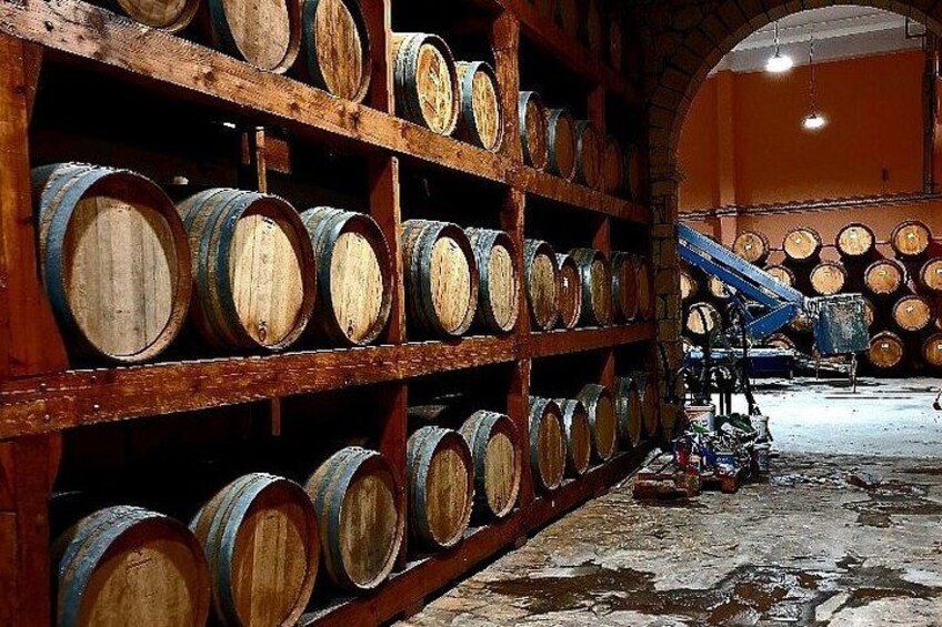Matala Beach Caves and Winery Full day Tour 3