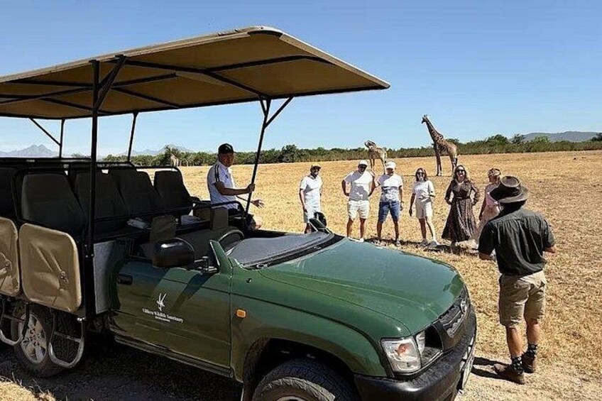 En safaribil med ett tak, en grupp människor som står på en åker och en giraff i bakgrunden. 4