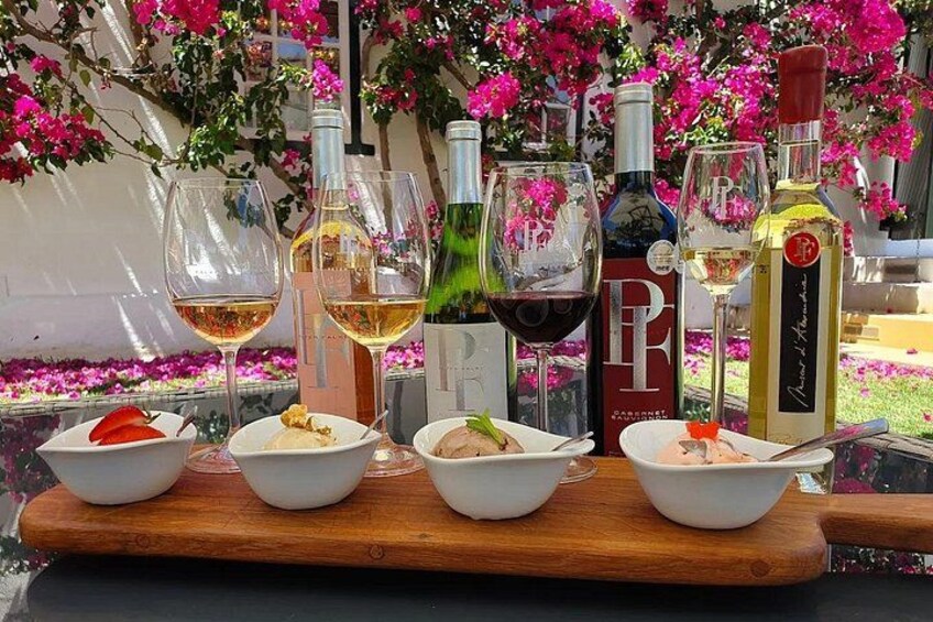 Private Wildlife & Premium WineTour Stellenbosch 1