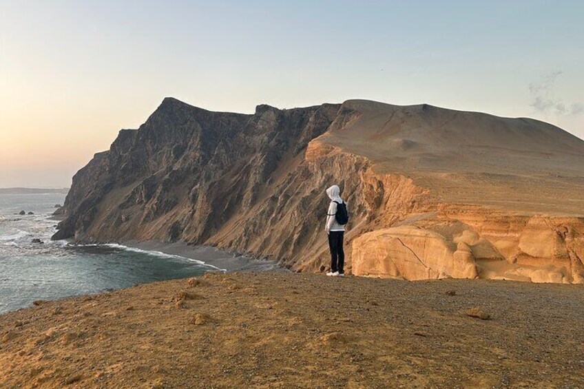 Paracas Tour: Ballestas Islands and Sunset Hike 4