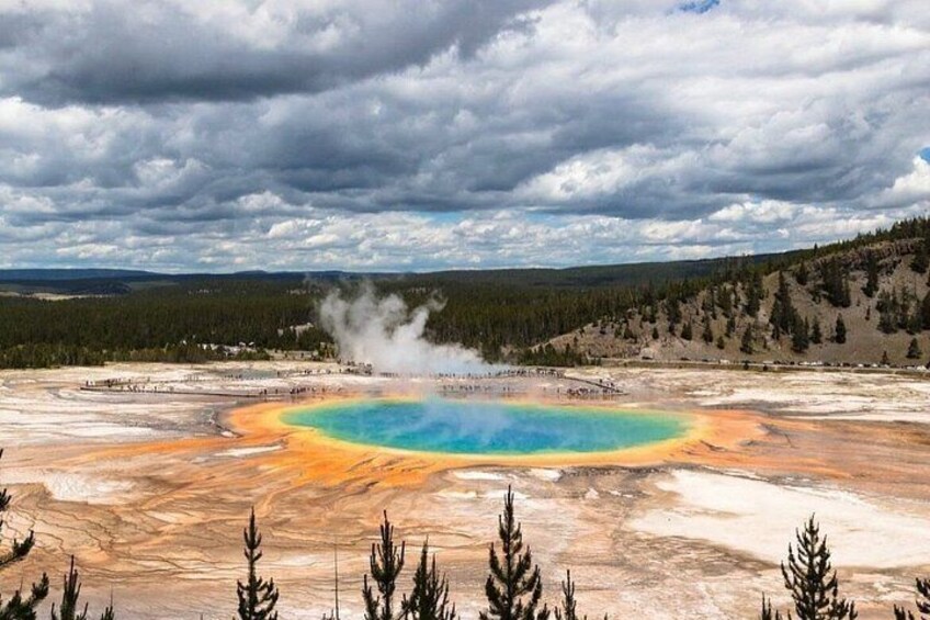 Private Yellowstone Wildlife Tour in the American Serengeti 2