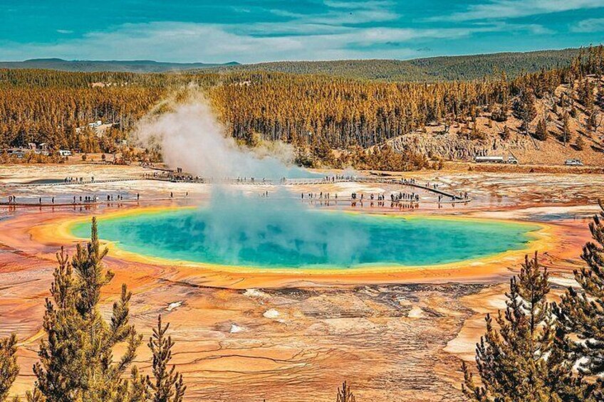 Private Yellowstone Wildlife Tour in the American Serengeti 4
