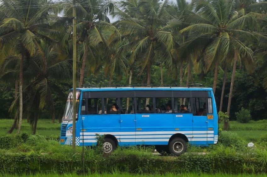 A blue bus parked on a roadside with palm trees in the background. 5