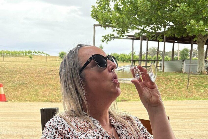 Full Day Wine Tour in the Hilltops Region, NSW 2