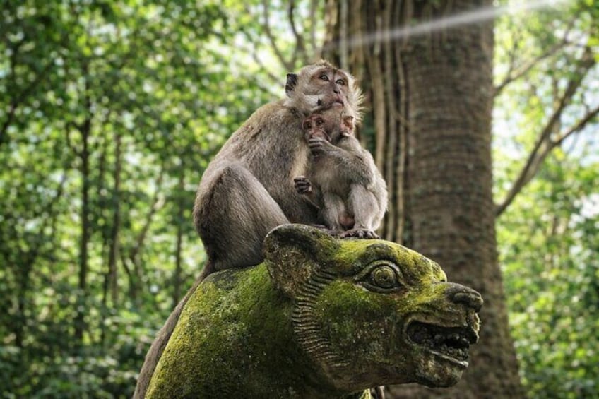 A monkey sitting on a stone head sculpture in a forest. 3