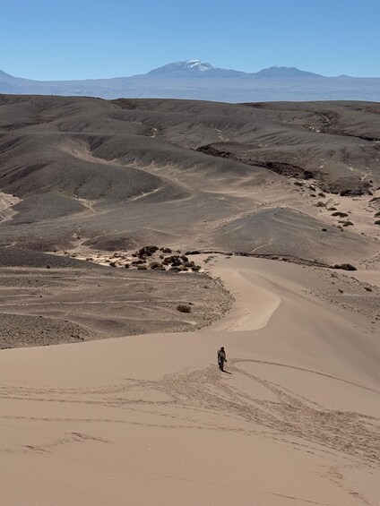A vast desert landscape with undulating terrain and a solitary figure walking along a sandy path. 5